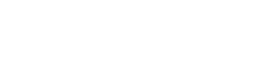 SITE COCOTTES I titre le concept de cocottes